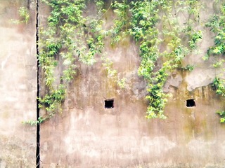 DSCN1689