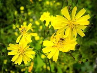 DSCN1710