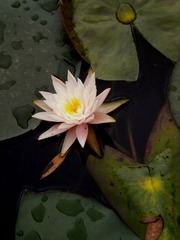 DSCN19348