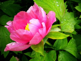 DSCN6814.JPG