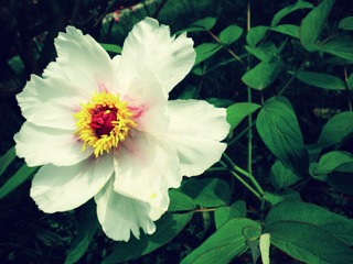 DSCN6831.JPG