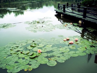 DSCN1920