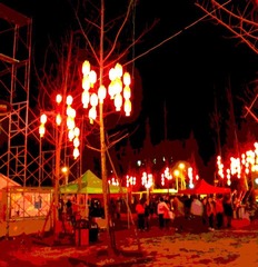 DSCN1174