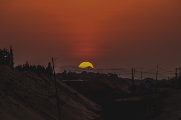 54242