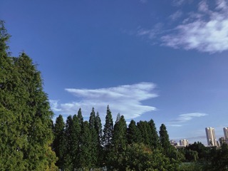90F9753E-F122-4117-83D6-269C71074E9C/L0/001