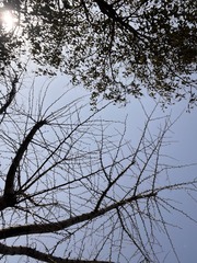 444CB0E7-6D48-4586-A922-3AB24A349908/L0/001