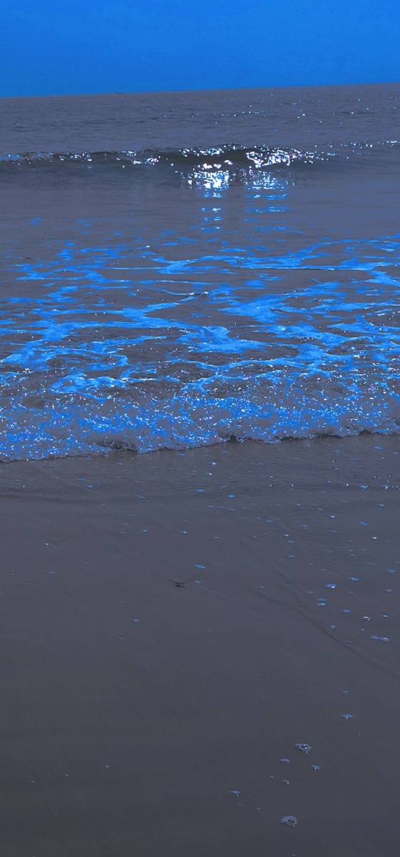 蓝色大海有传说嘛?