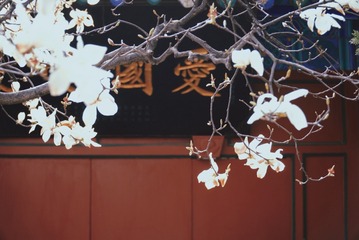 E4CD2B8E-66BB-4C29-BD0D-808DAB5FB48C/L0/001
