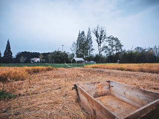 1000029074