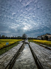 1000026404