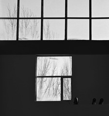 FD6D29A7-FB31-4ED2-A414-EC89F03A693D/L0/001