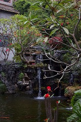 D788A816-F9EB-46B6-B999-C6D783917465/L0/001