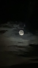 26FD8677-B672-4B4E-8609-A3772699AC88/L0/001