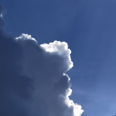 126929