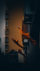 B9EBA986-5A37-4A14-887F-2A53A0AB4326/L0/001