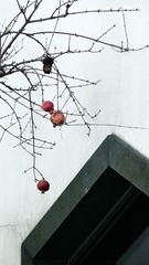 34F07E95-A3F6-4285-8430-82996C814DF0/L0/001