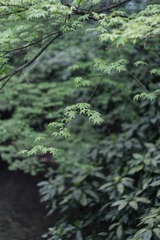 9BA9F92E-B758-4593-BFA6-6E66CFB0DA4E/L0/001