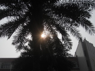 C66F3900-39CF-48AE-9004-5B42B46455C4/L0/001