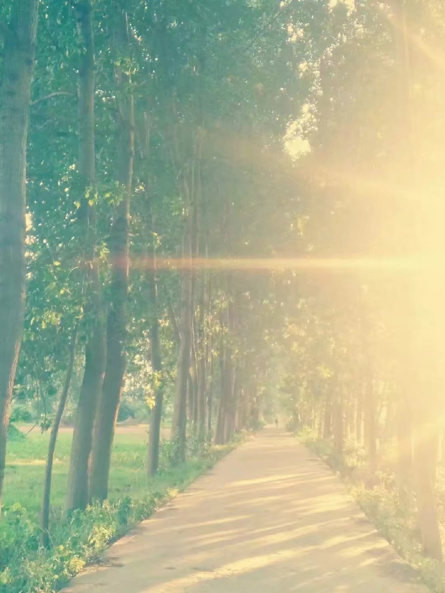 putuporshutup349 - 图虫