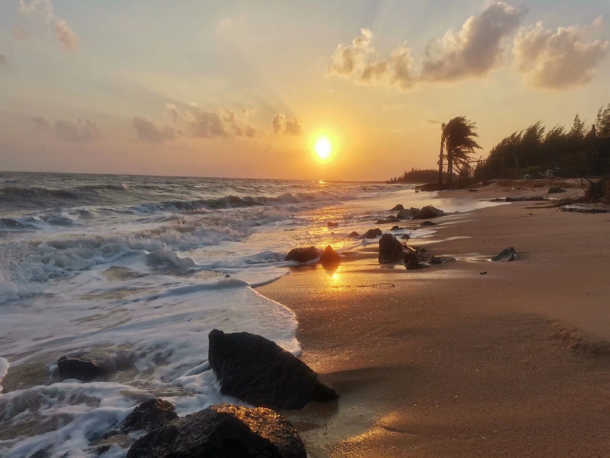 朝阳- putuporshutup349 - 图虫