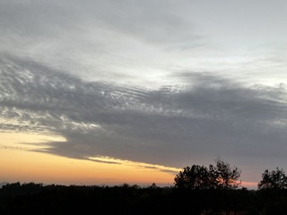 3E91F5E8-0751-4821-85CE-39C386030FA3/L0/001