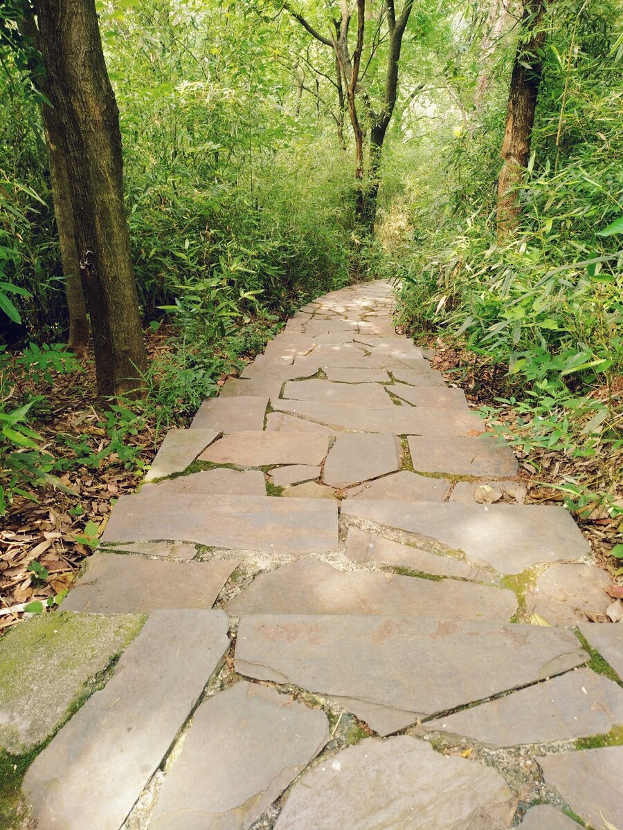 ɽС·