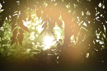 651739F4-F46B-4E64-A8F4-9781AB3C3800/L0/001