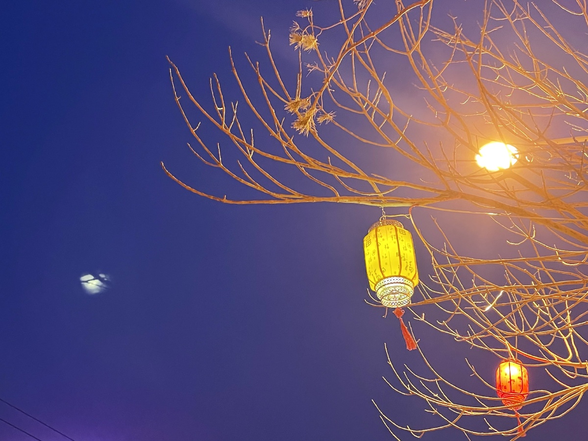 春节前的小城,夜色很美!