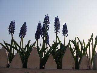 060D3E1C-A9B3-4D43-891D-7E51A98F0AD8/L0/001