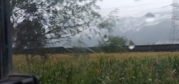 2579618