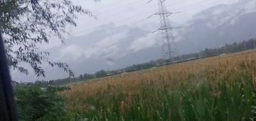 2579617