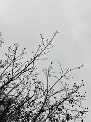 1000001042
