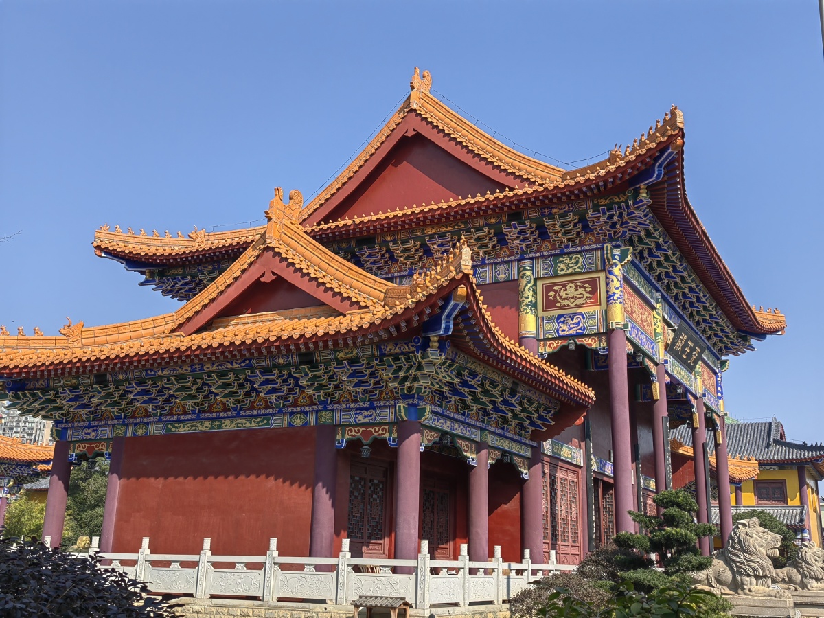 西普陀寺 - 不想在乡镇的异地狗 - 图虫