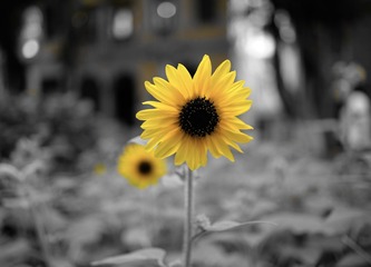 8225CB83-26BF-4EC6-B415-F1FCC40EF67B/L0/001