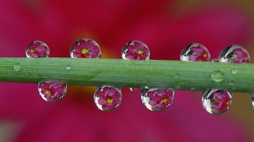 IMG_9806_