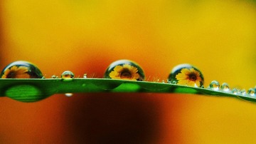 DSC03975__