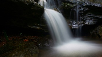 DSC04911_