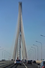 393592