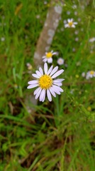 2006889