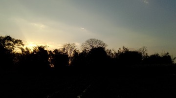2259634