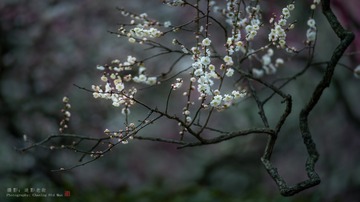 A76F0434-C990-4462-9021-C0206EB35BB3/L0/001