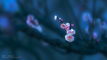 D717BD68-B7D8-4F8F-B522-DD00DCC57297/L0/001