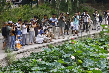 大阵仗