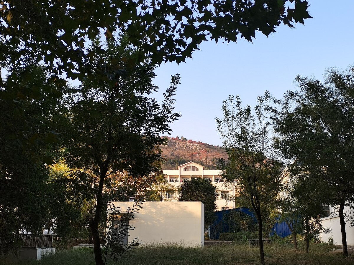 心情明朗