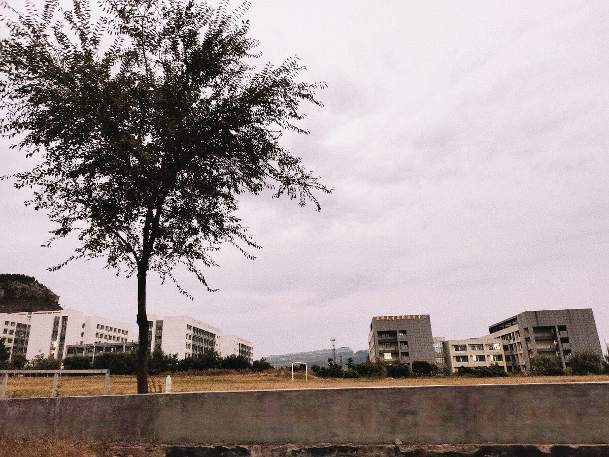 孤独的根号七