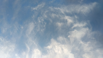 3006019