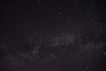 119806