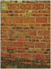 875