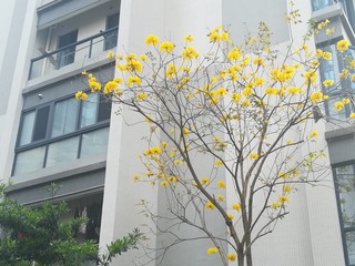 321