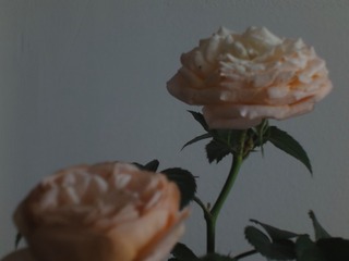 9F9C9338-2655-446B-AE62-69F9A8776AE5/L0/001
